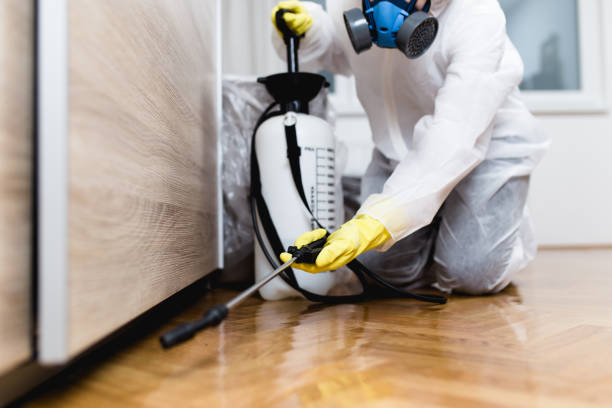 Flea Control Services in Melrose, MN
