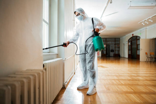 Best Mosquito Control Services  in Melrose, MN