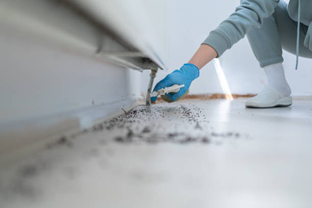 Wildlife Control Services in Melrose, MN